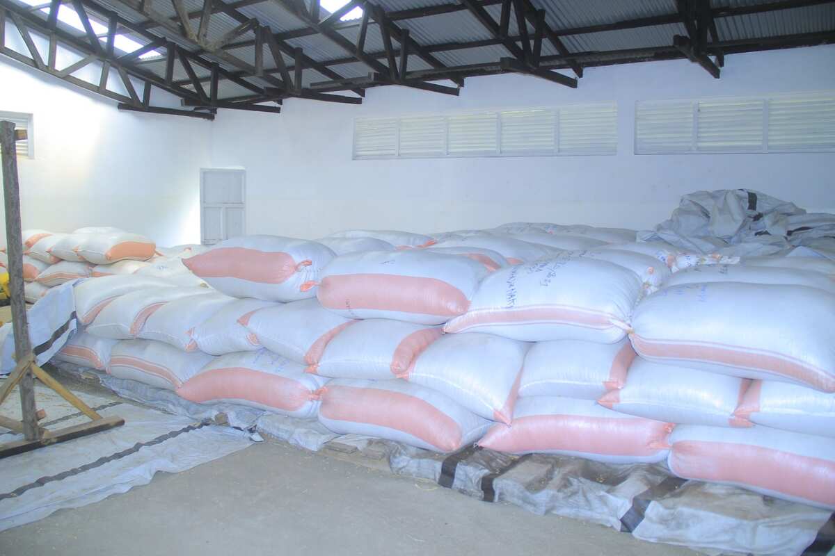 Exportation : Notre Cafe Arabica part vers le Monde