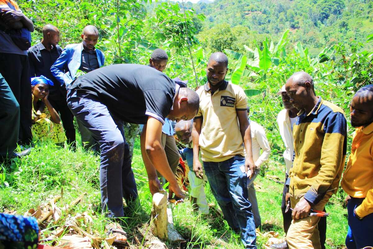 Nos 4 Certifications Internationales : Biologique, Fairtrade, JAS & NOP