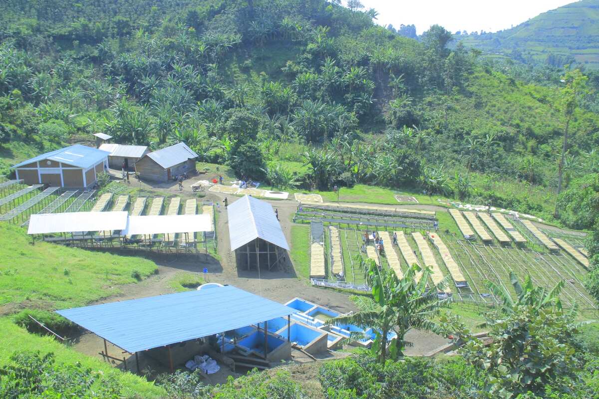 Stations de Lavage : L&rsquo;Excellence au Bord du Lac Kivu