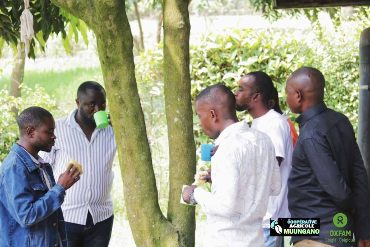 Processus de Fermentation : La Clé de Nos Arômes