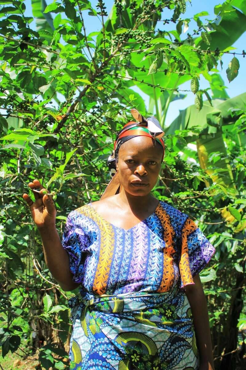 Plantation caféiers Muungano