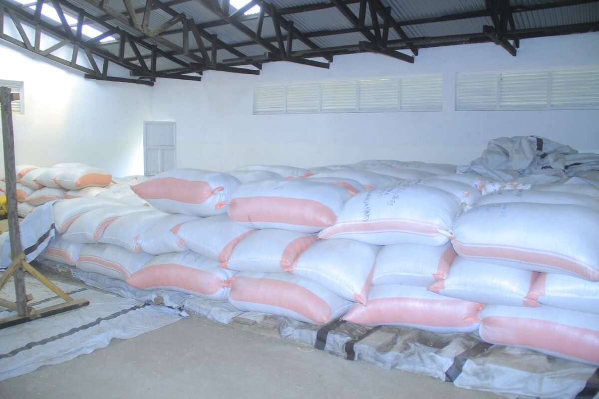 Notre Café à Mombasa : La Route de l&rsquo;Export